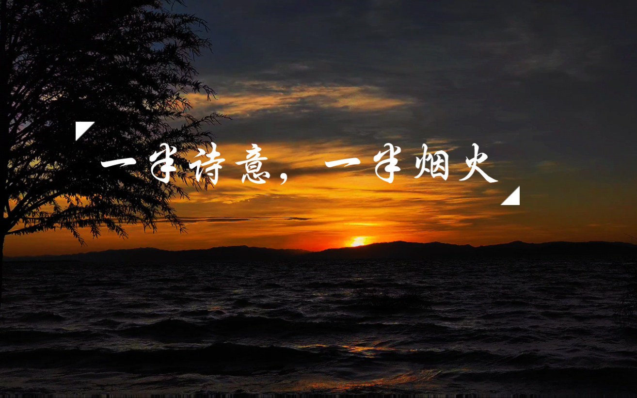 生活一半诗意,一半烟火,一段故事_哔哩哔哩_bilibili