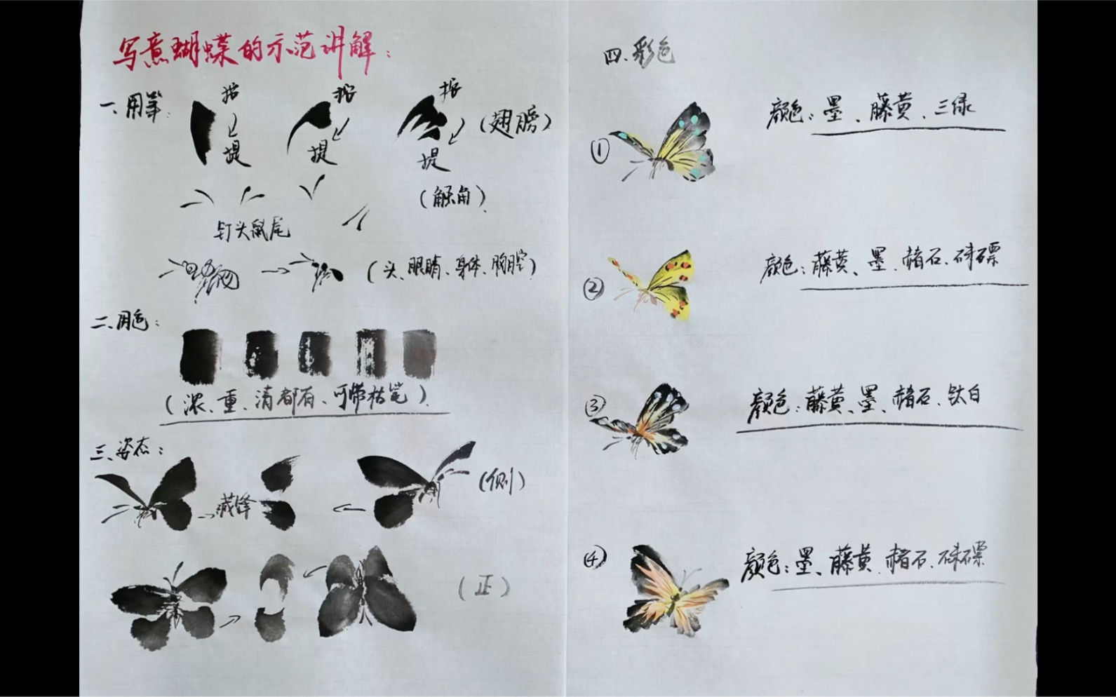 国画 | 写意蝴蝶最全示范讲解 | 包含用笔用色(零基础可学)哔哩哔哩bilibili