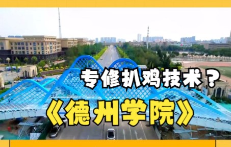 建设扒鸡产业学院,专修扒鸡烹饪技术哔哩哔哩bilibili