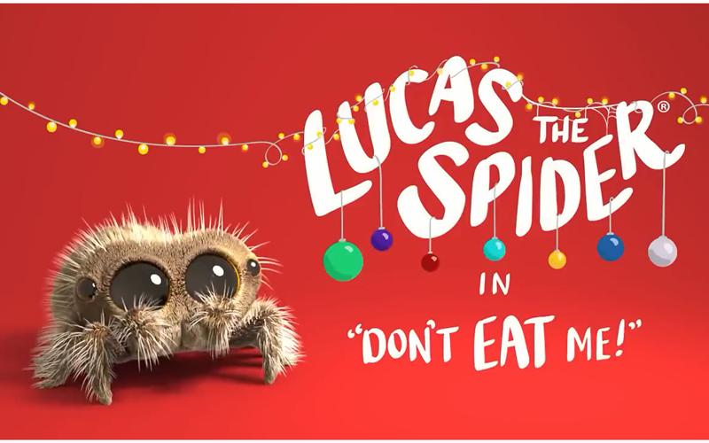 世界上最可爱的蜘蛛 Lucas the Spider 治愈系动画短片《小蜘蛛卢卡斯》简直萌翻天哔哩哔哩bilibili