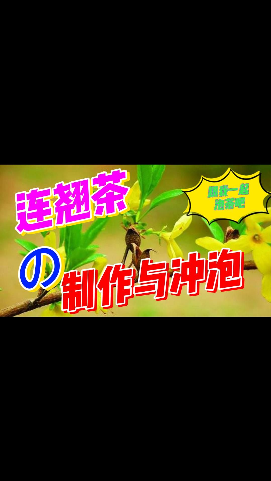 茶文化之连翘茶的制作与冲泡方法!