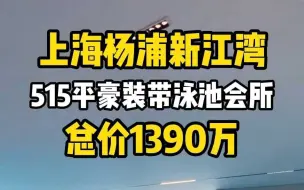 上海杨浦罕见带泳池会所的家！