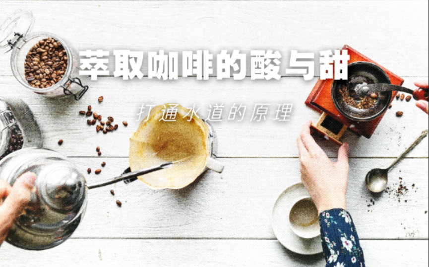 萃取咖啡的酸与甜|打通水道有什么用哔哩哔哩bilibili