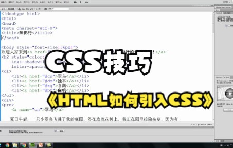 【CSS技巧】HTML如何引入CSS,一招教会你!哔哩哔哩bilibili