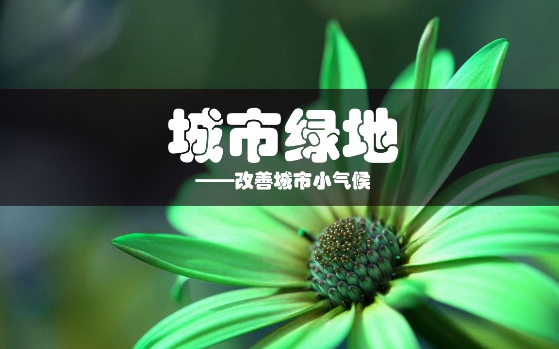 活动  城市绿地:改善城市小气候