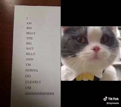 [图]【猫猫】I am Big Billy