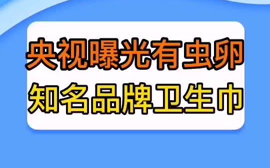 被爆出虫卵卫生巾的知名品牌哔哩哔哩bilibili