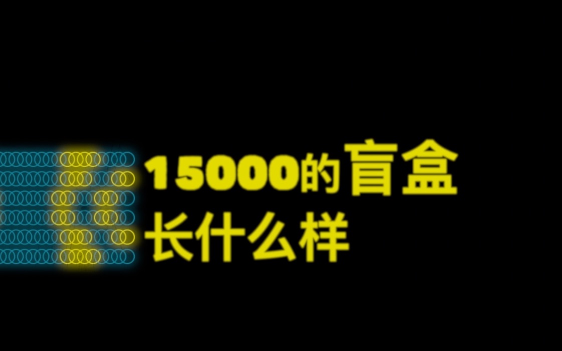 在老付那买了5箱手办,你们帮我看看我亏了吗?哔哩哔哩bilibili