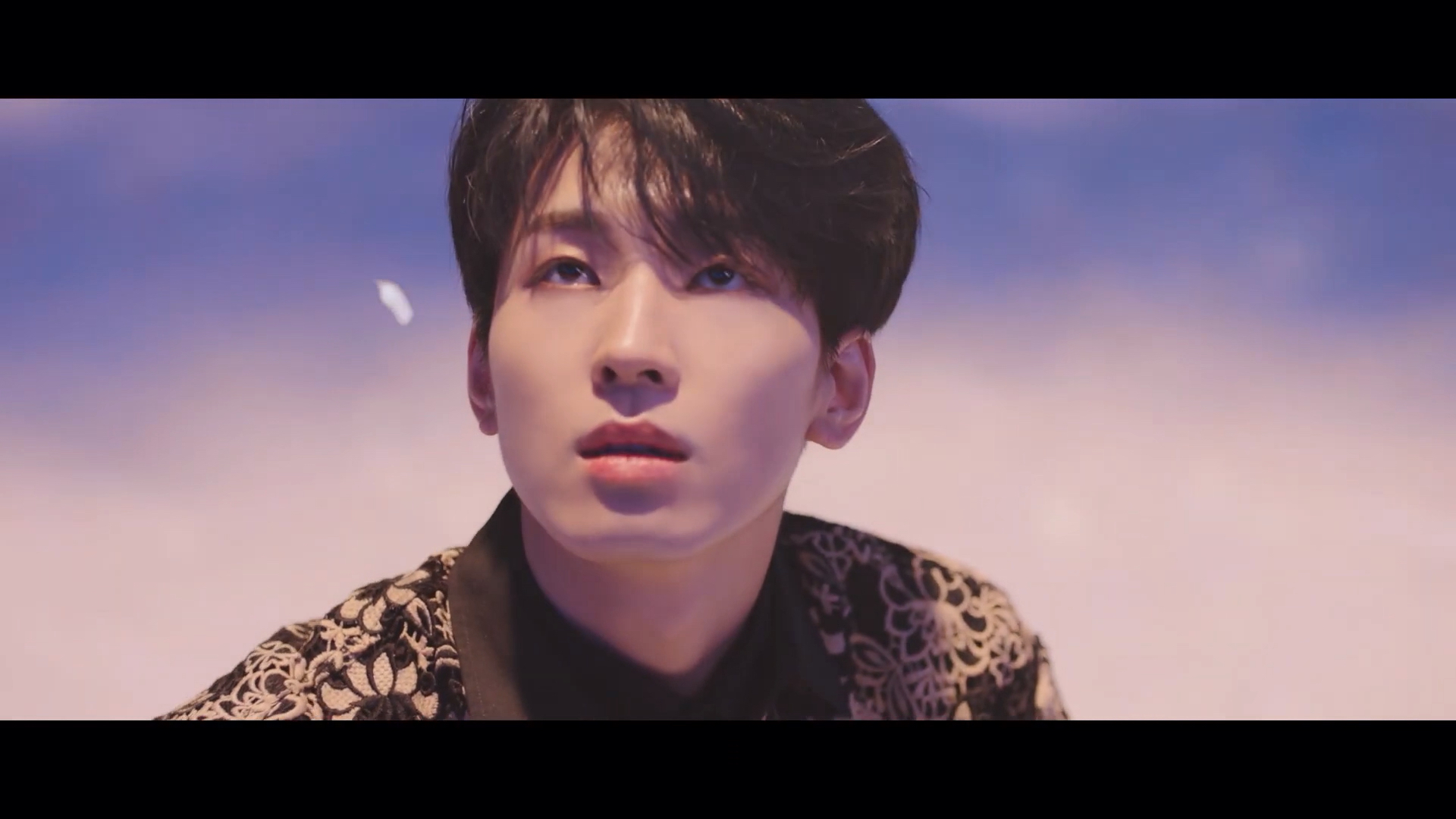 【seventeen】fallin flower超抒情改编翻预告ver.