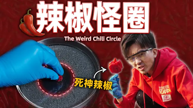 【毕导】水害怕辣椒？我找来了世界上最辣的死神辣椒
