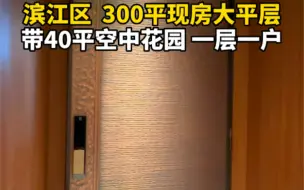 Download Video: 杭州滨江区300平大平层