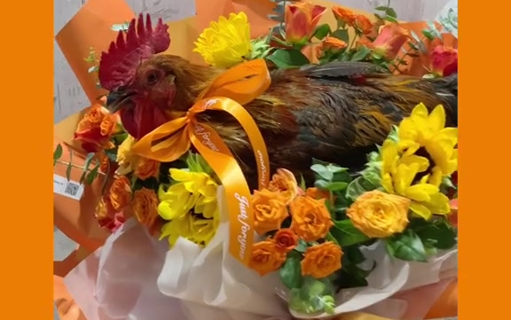 公鸡花束教程,你学fei了吗