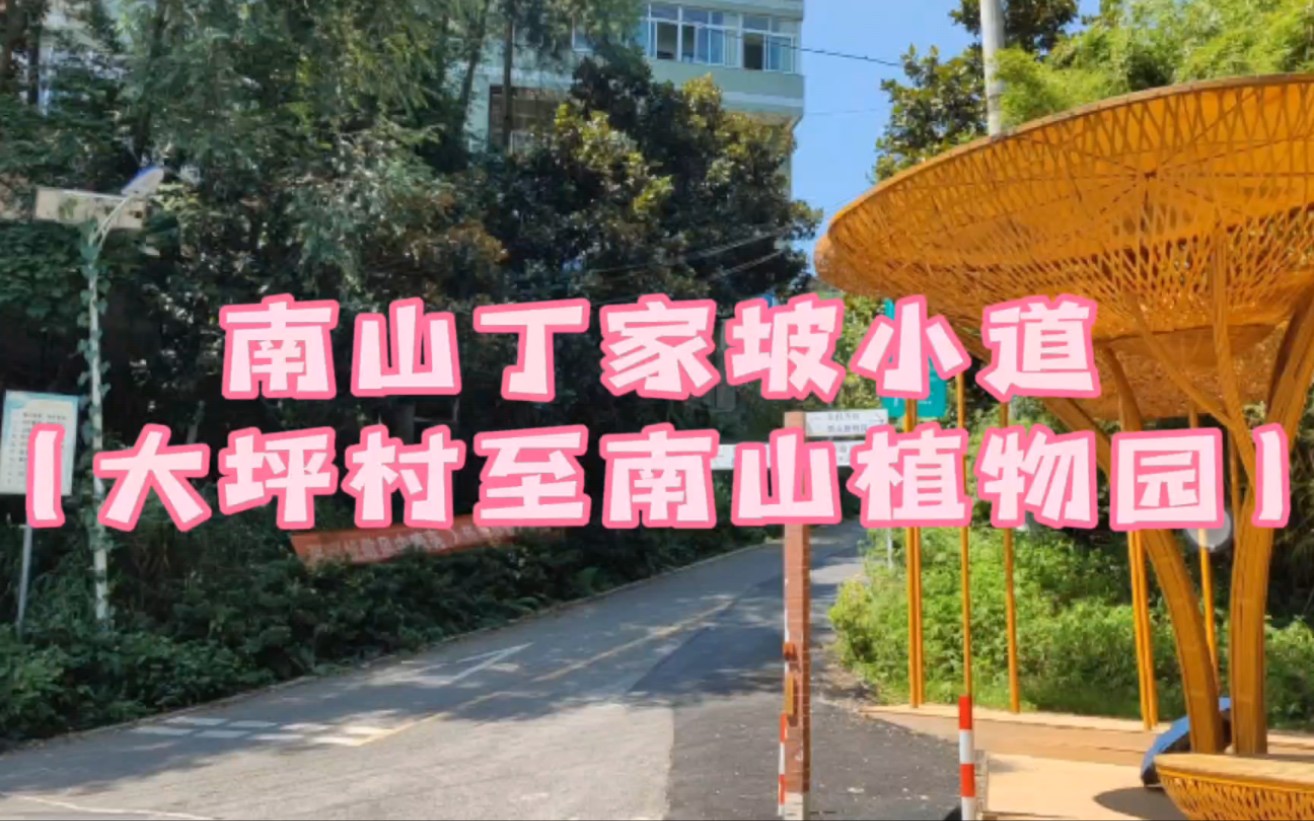 [图]重庆南山丁家坡登山小道（大坪村至南山植物园）#重庆健身步道#重庆旅游攻略#重庆周末去哪儿