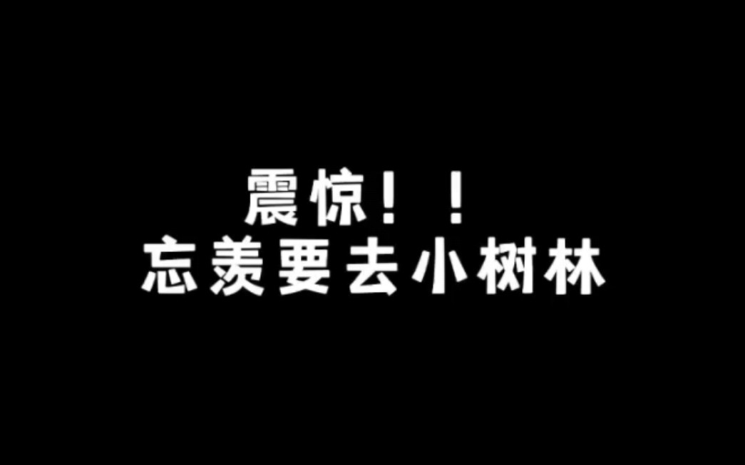 震惊!!忘羡要去小树林!哔哩哔哩bilibili