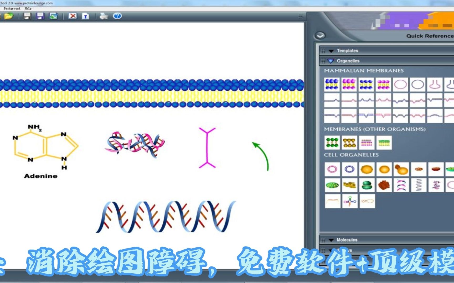 【科研神器】顶刊信号通路保姆级教程!哔哩哔哩bilibili