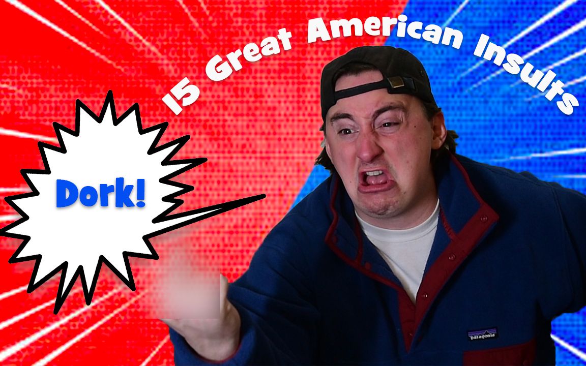 [图]15 Great American Insults (Non Offensive)