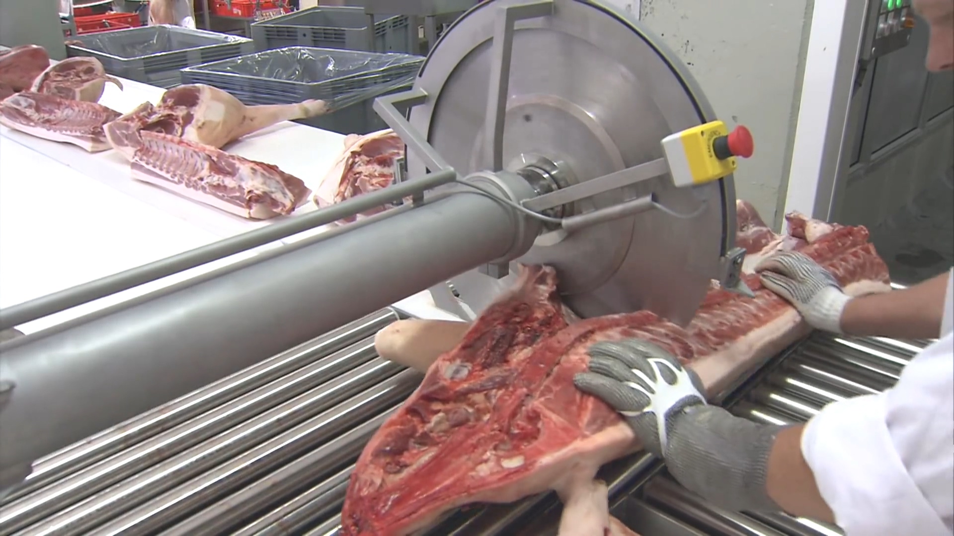 丹麦自动化猪肉屠宰加工厂整猪迅速分割切块供应全球