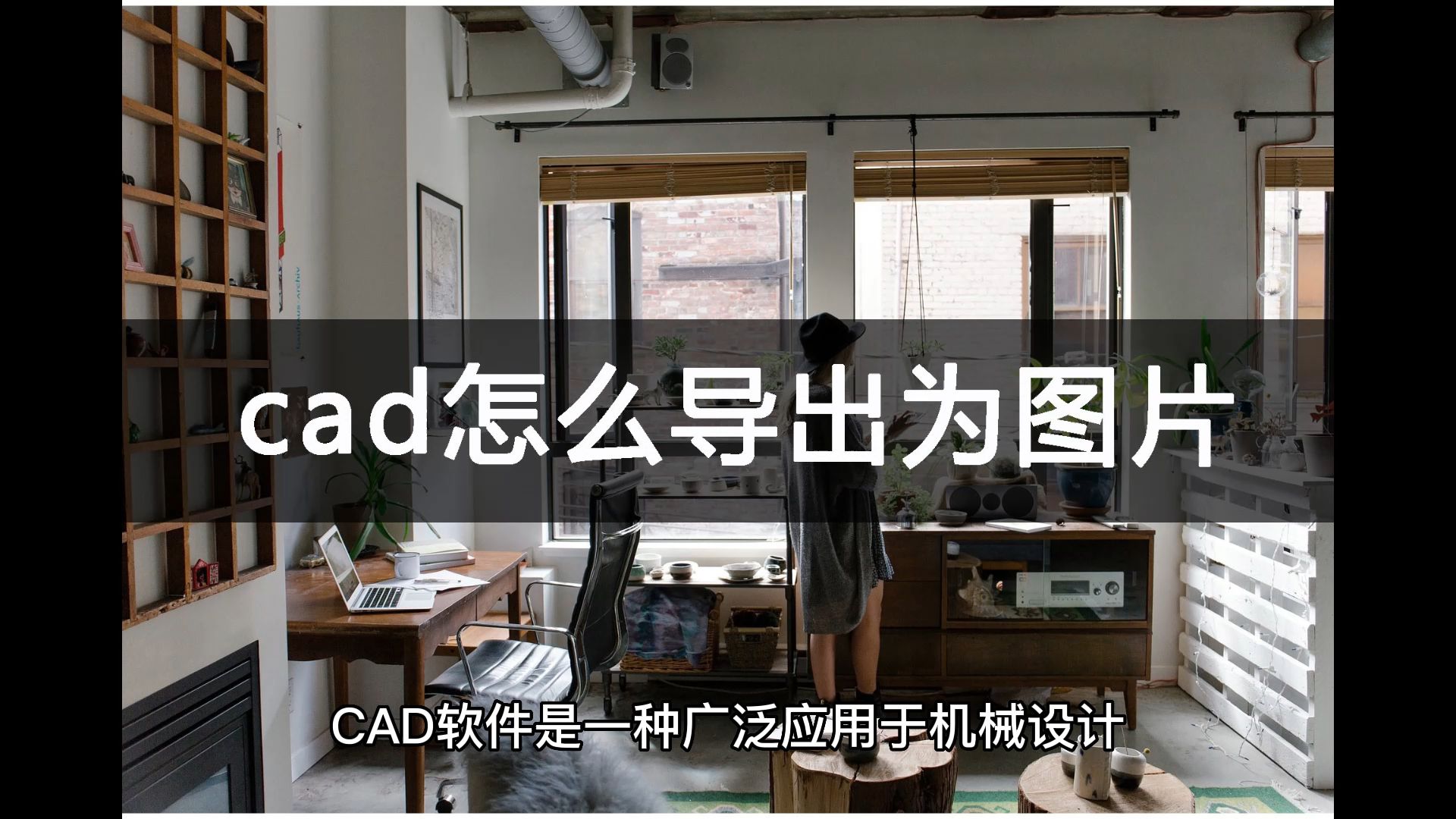 cad怎么导出为图片?一分钟解决哔哩哔哩bilibili