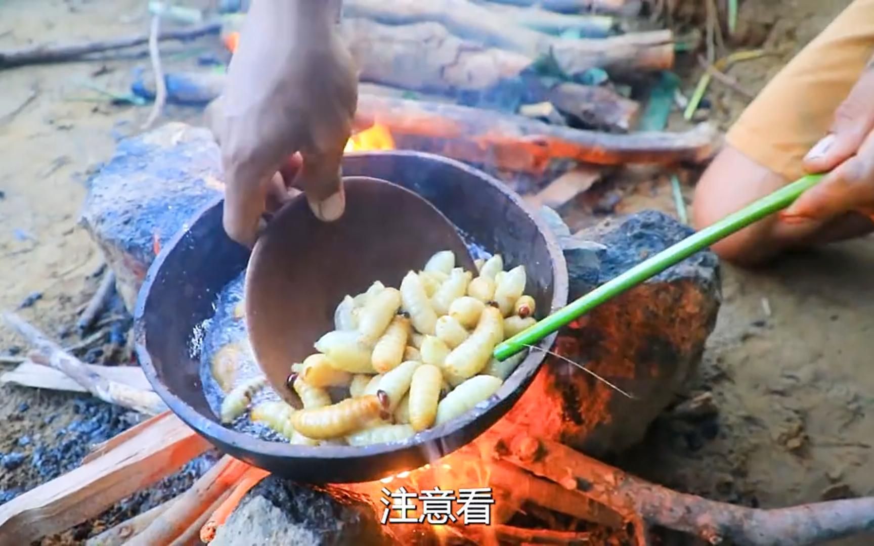 这美味的椰子虫你从未吃过吧?听说这可是男人的加油站,女人的美容院哦哔哩哔哩bilibili