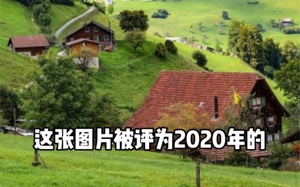 2020年经典视觉错觉图片 建议手机观看哔哩哔哩bilibili