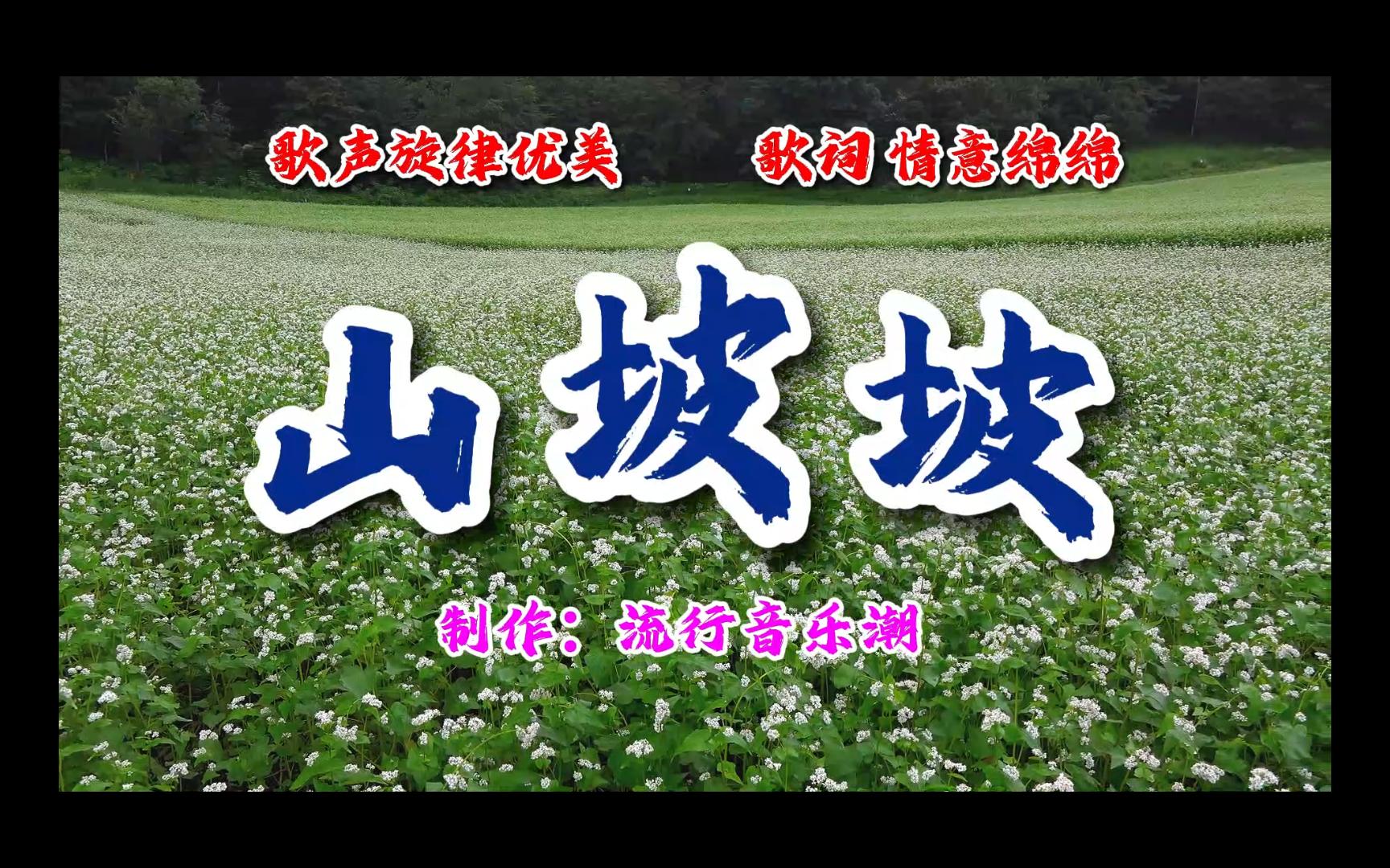 陕北民歌《山坡坡》哔哩哔哩bilibili