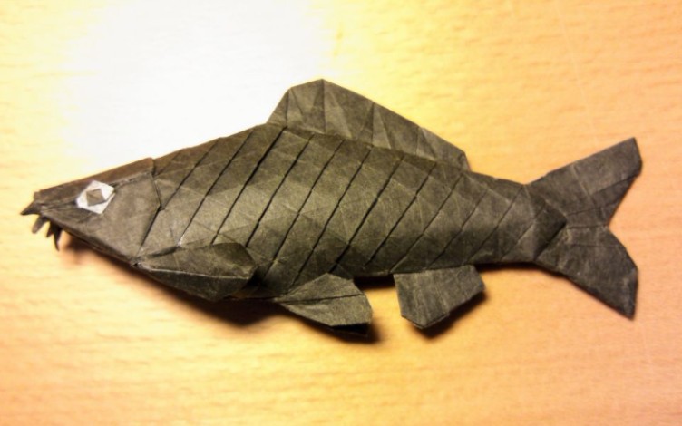折纸cp02有点憨的鱼设计今井幸太更新中