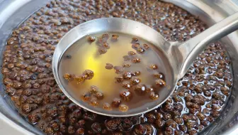 超级简单的三青酱 青椒 青花椒 青油 哔哩哔哩 Bilibili