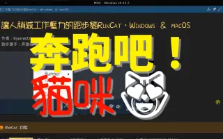 奔跑吧！猫咪让人稍减工作压力的跑步猫，＆
