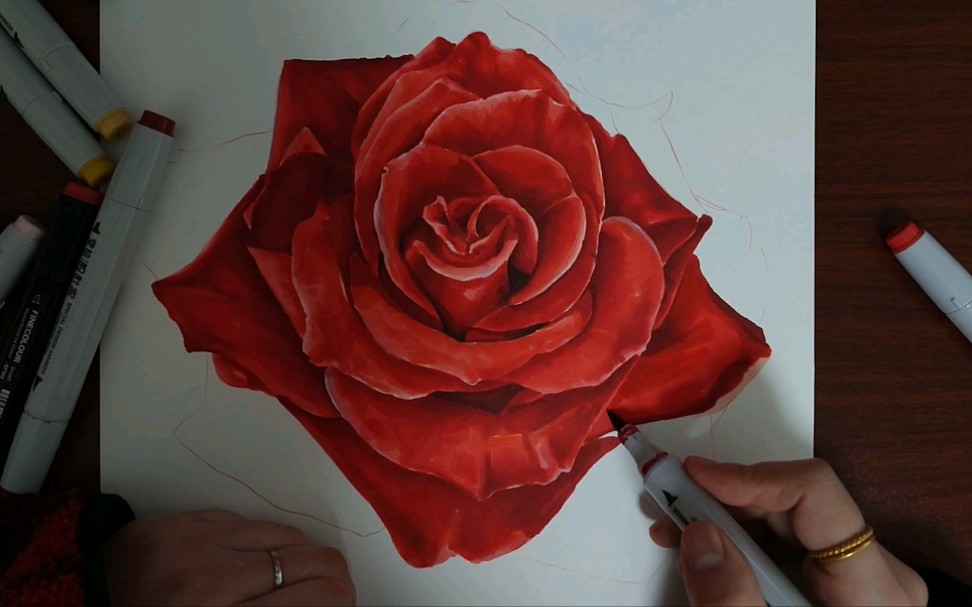 玫瑰马克笔画图片
