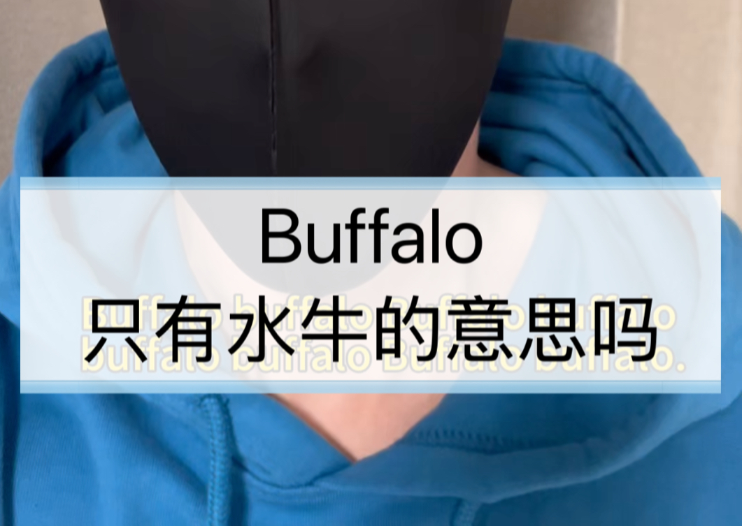 Buffalo 只有水牛的意思吗哔哩哔哩bilibili