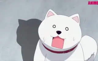 阿久津明 搜索结果 哔哩哔哩 Bilibili