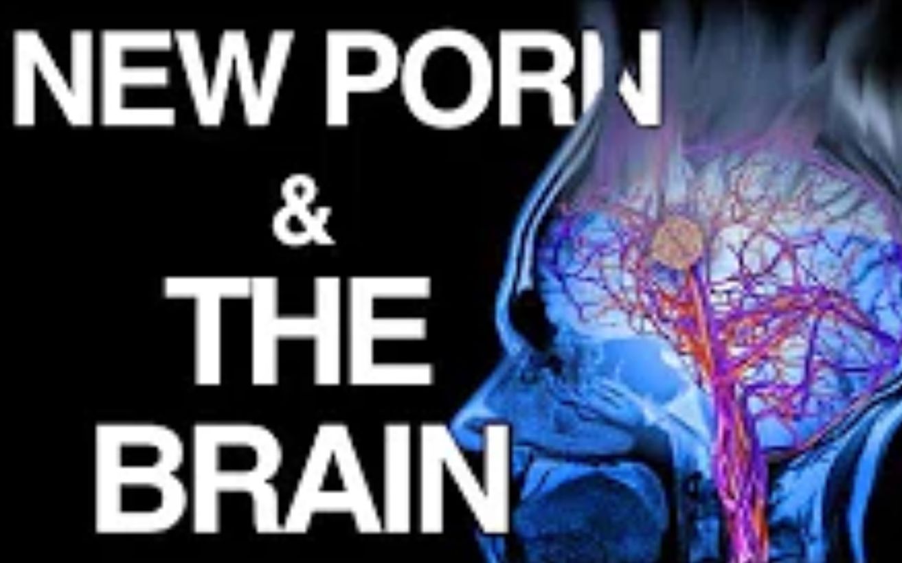 【What I've Learned】英字ⷤ𘺤𛀤𙈰orn可以改变大脑 Why Porn Changes The Brain哔哩哔哩bilibili