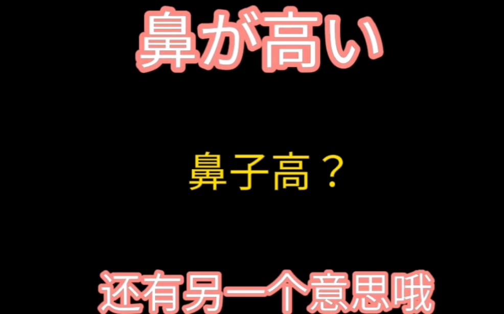 日语【鼻が高い】,不仅是夸别人鼻梁高,还有一个意思,你知道吗?哔哩哔哩bilibili