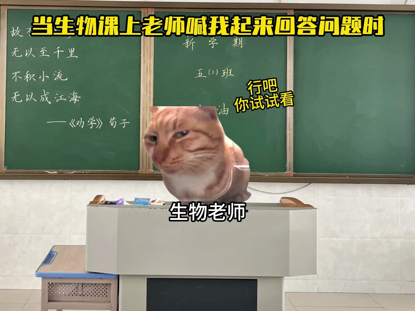 当生物课上老师喊我起来回答问题时-木有鱼丸meme-木有鱼丸meme-哔哩哔哩视频