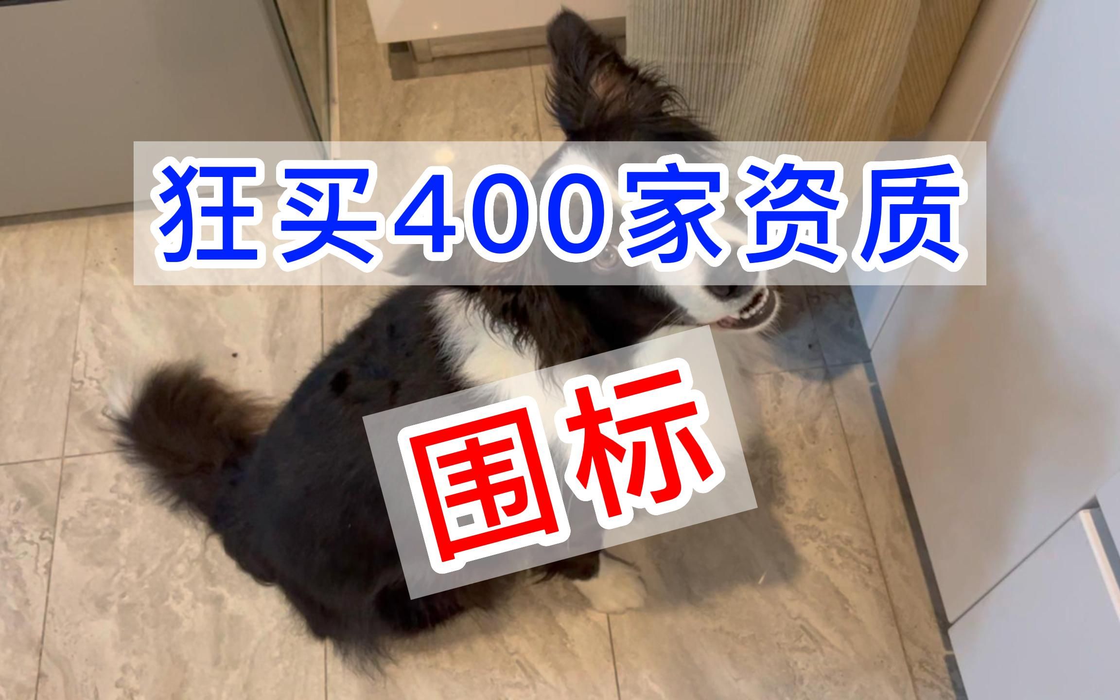 狂买400家资质围标,42个标段中标32个,因分赃不均败露哔哩哔哩bilibili