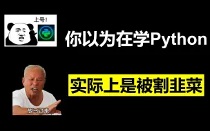 Скачать видео: 你以为在学Python，实际上是被割韭菜