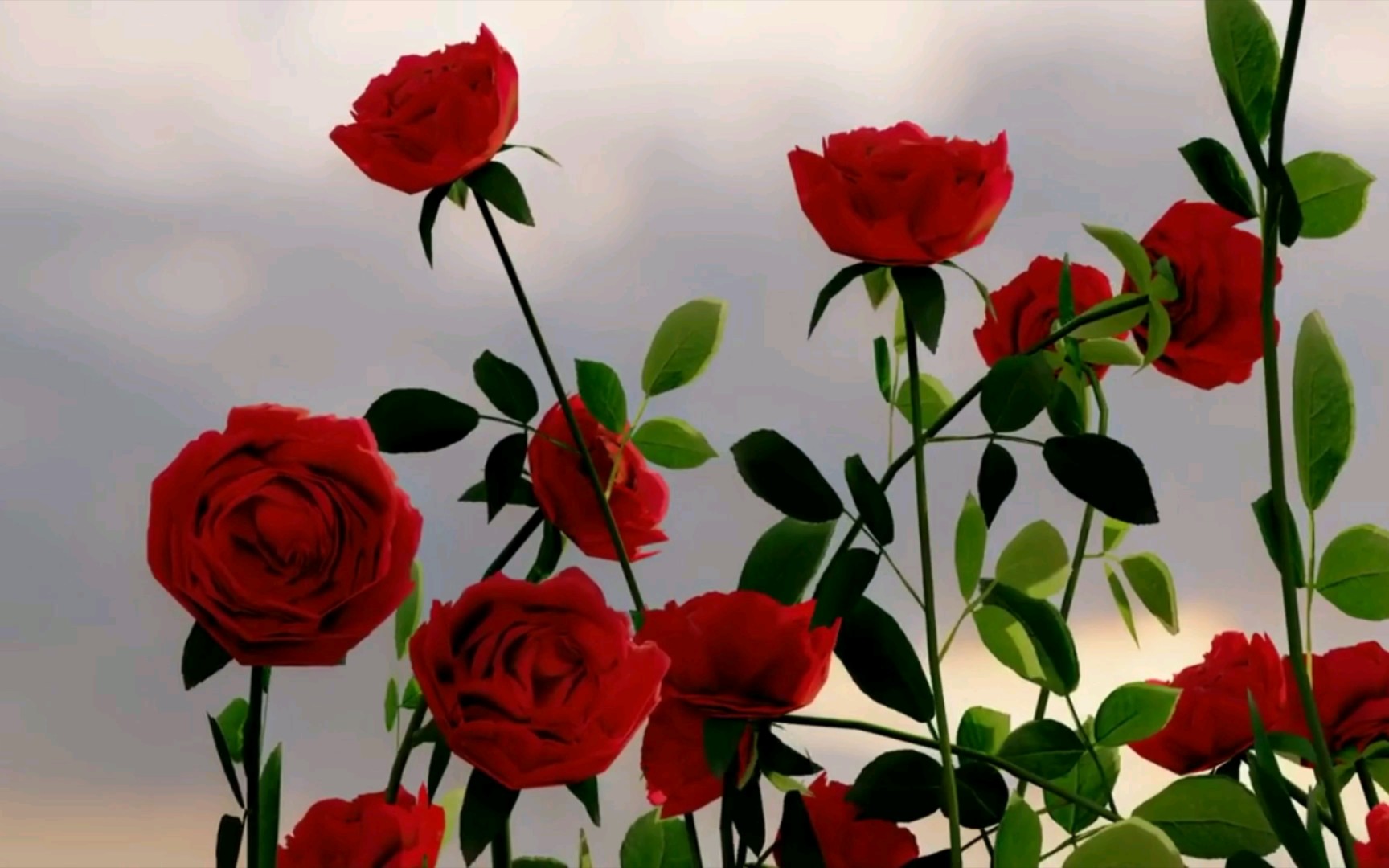 我将玫瑰藏于身后风起花落从此鲜花赠自己纵马踏花向自由