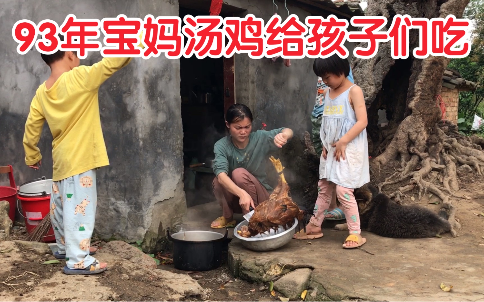 一个多月没吃鸡肉了 晚餐杀只鸡煲清补凉给3个孩子解解馋哔哩哔哩bilibili