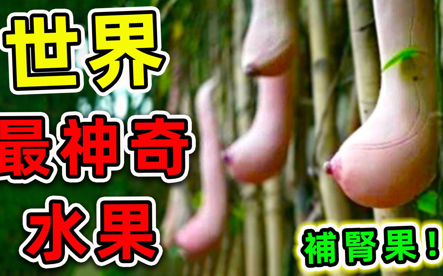 补肾果真实存在,千万别乱吃,怕控制不住