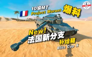 Video herunterladen: 【WOT Blitz】⚡法国新分支！10级中坦 Project Murant🔥