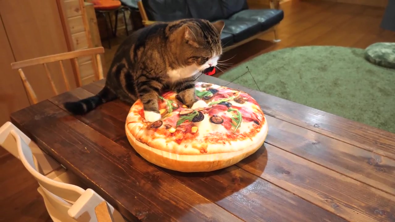 【猫咪】mura猫踩pizza靠垫ピザをこねるねこ