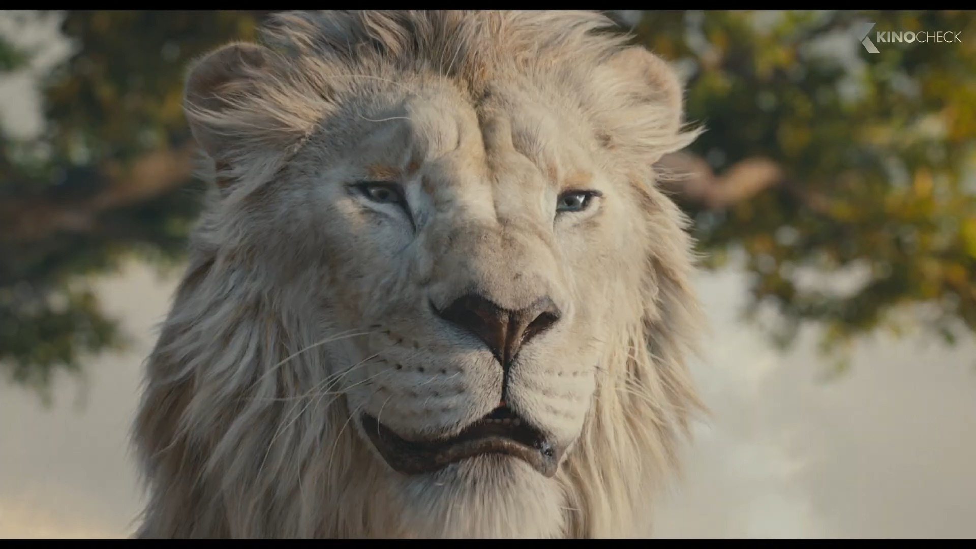 狮子王:木法沙传奇 预告片 2 (2024)