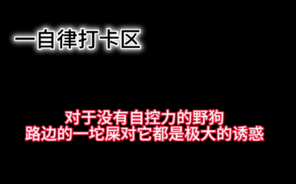 挑战不奖励100天 第31天 随你便吧,爱练不练,看着自己一身肥肉,别骂街就行,我随时和兄弟盯着你,你小子,要变强,要优秀啊,加油啊哔哩哔哩bilibili