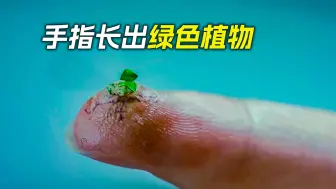女孩手指上长出绿色植物，脸上冒出了嫩芽