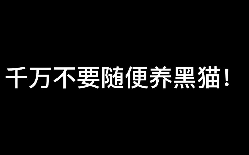 千万不要随便养黑猫!哔哩哔哩bilibili