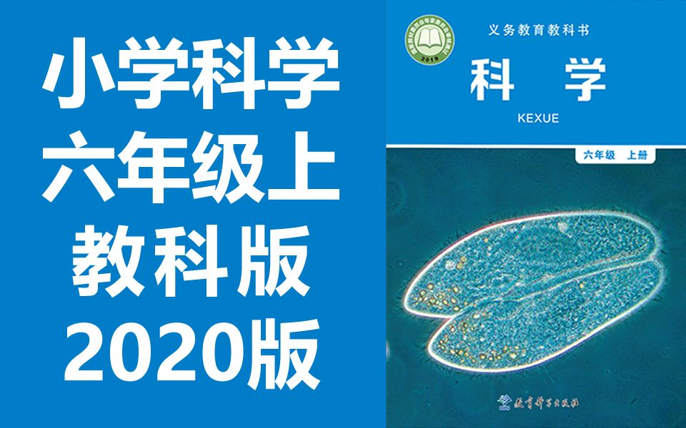 小学科学六年级科学上册 教科版 2020最新版 教育科学出版社 小学科学6年级科学上册六年级上册科学新版 2020新改版哔哩哔哩bilibili