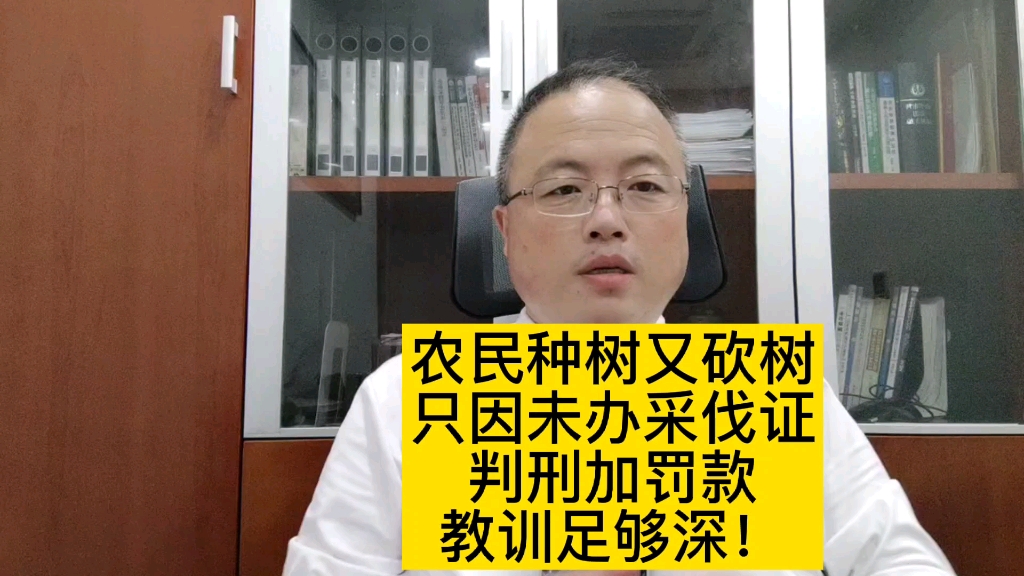 农民种树又砍树,只因未办采伐证,判刑加罚款,教训足够深!哔哩哔哩bilibili