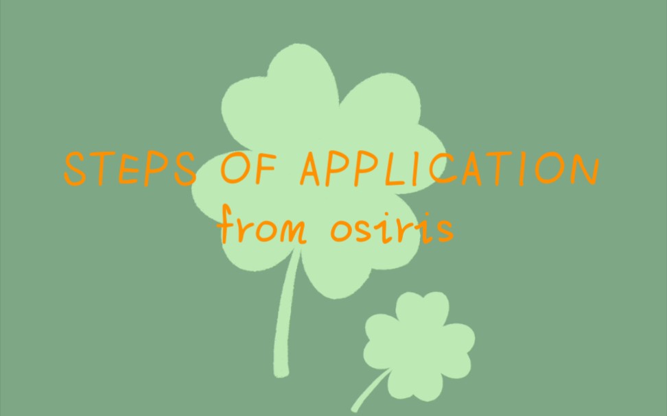 Molly的荷兰生活记录——关于提交申请后接下来学校要求的步骤(OSIRIS APPLICATION)哔哩哔哩bilibili