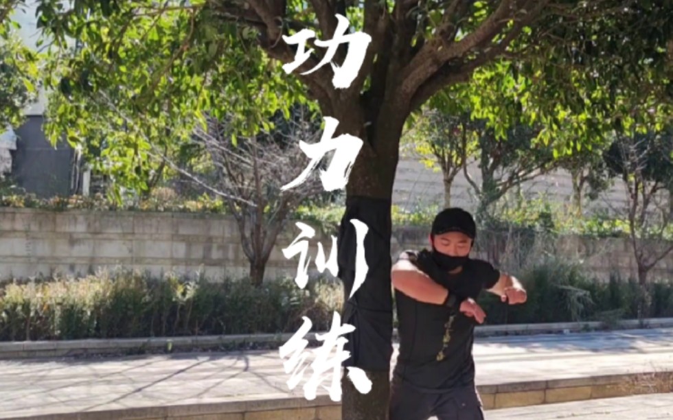 【古武】功力训练|盘树打桩