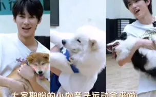 Descargar video: 时代动物园之最佳犬爸争霸赛